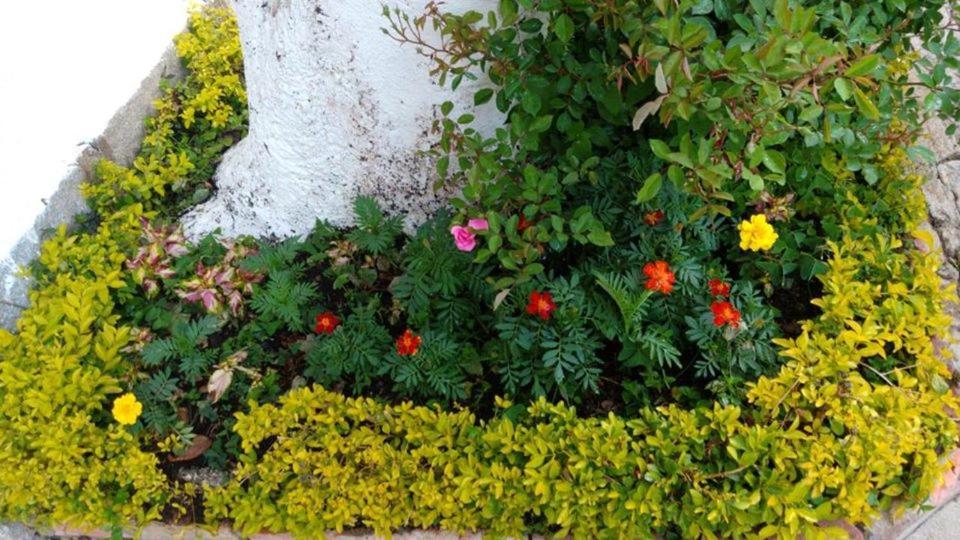 Pousada Sitio Sossego Correas المظهر الخارجي الصورة